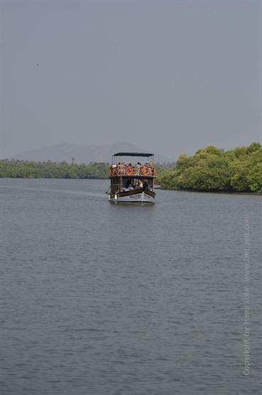 01 River_Sal_Cruise,_Goa_DSC7044_b_H600